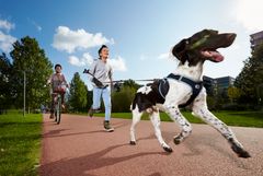 Uanset om vi går tur med hunden, cykler til arbejde eller dyrker sport, styrker bevægelse sundheden og trivslen. Men vi ved ikke ret meget om, hvorfor nogle bevæger sig meget mere end andre. Foto: Jens Astrup.