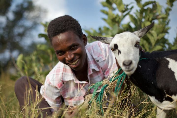 En ged kan være til stor nytte til en fattig familie, der bor på landet. Geden giver mælk, kød, skind og gødning, og den forsyner familien med gedekid, som kan sælges på det lokale marked. Foto: Thomas White