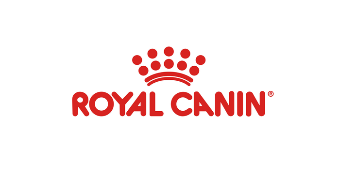 tårn Jeg var overrasket build Dyrlægens opfordring til hundeejere: Træn din hund i at være alene | Royal  Canin