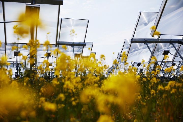 144 nye super-solfangere skal producere bæredygtig varme til Lendemarkes varmekunder. Foto: Thomas Tolstrup