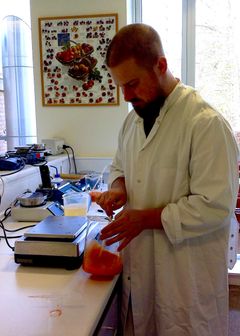 Foodture lab Rynkeby