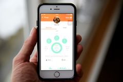Data fra Pitpat sendes dagligt til en app, hvorpå hundeejeren kan følge med i, om hunden har fået nok motion og nået dagens mål. Foto: PR.