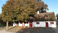 De to gamle kastanietræer, som står helt op ad muren ved det gamle stuehus udgør en fare for den fredede fæstegård fra 1740. Derfor er det blevet besluttet, at de nu skal fældes.