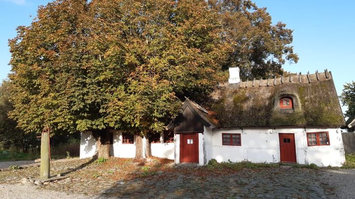 De to gamle kastanietræer, som står helt op ad muren ved det gamle stuehus udgør en fare for den fredede fæstegård fra 1740. Derfor er det blevet besluttet, at de nu skal fældes.