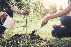 Midt i havearbejdets højsæson giver haveeksperten sine råd til, hvordan pligterne kan udnyttes til gavn for krop og sjæl. Foto: PR.