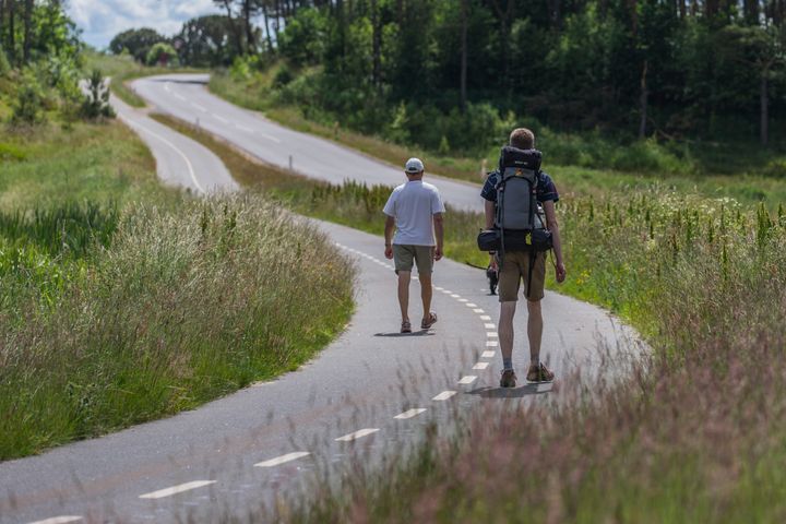 Der findes masser af vandreruter i den danske natur. Find din næste vandretur på udinaturen.dk