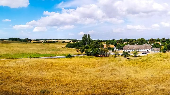 Lejre Museum og Tadre Mølle glæder sig til at afholde sommeraktiviteter for hele familien. Tag for eksempel med på kongevandring i Lejre eller kom til bageweekend på Tadre Mølle. Foto: Daniel T. N. Rasmussen/ ROMU.