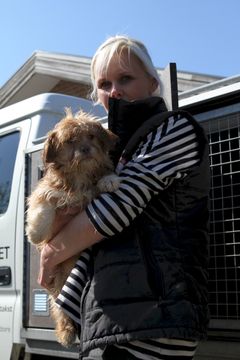 Dyreværnets udrykningsleder, Nina Amdi Carlsen, med en af de 60 hunde. Foto: Dyreværnet.
