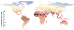 Udvidelse af ekstremt varme regioner, hvis udledningen af drivhusgasser fortsætter. I det nuværende klima er gennemsnitstemperaturer over 29°C begrænset til de små mørke områder i Sahara-regionen. I 2070 forventes den ekstreme varme at have bredt sig til det skraverede område efter RCP 8.5-scenariet. Uden migration ville dette område være hjemsted for 3,5 milliarder mennesker i 2070 efter SSP3-scenariet for demografisk udvikling. Baggrundsfarverne repræsenterer de aktuelle gennemsnitlige årlige temperaturer. Grafik: Xu Chi