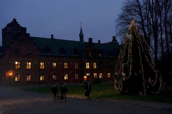 Juletræ på Herlufsholm en tidlig morgen. Foto: Rie Ebbe Andersen