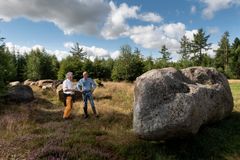 Arkæologer fra Moesgaard Museum besigtiger stenene, som skal bruges til rekonstruktionen af gravmonumentet Høj Stene. Foto: Michael Johansen, Foto/Medieafdelingen - Moesgaard Museum.
