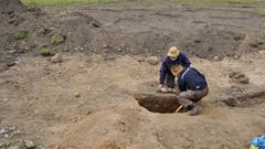 Projektforsker Tom Christensen har gennem tre årtier afdækket Lejres gådefulde og imponerende fortid - mere end ti af årene sammen med arkæolog Julie Nielsen. På bakketoppen anes markeringen i græstørv af den største af kongehallerne. Foto: ROMU