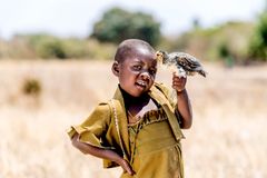 En kylling gør en verden til forskel, hvis man lever i fattigdom. Foto: Bax Lindhardt