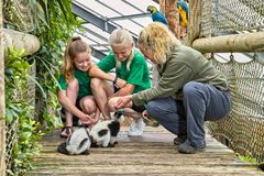 Børnene kan komme helt tæt på dyrene i Jesperhus JungleZoo. Foto : Jesperhus