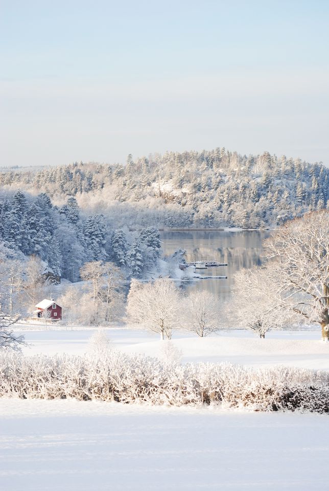 Anfasteröd Gårdsviks smukke vinterlandskab
