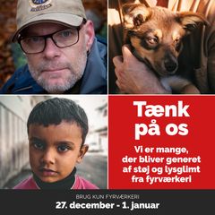 Udsnit af plakaten, der bl.a. kan ses på fyrværkerisalgssteder.