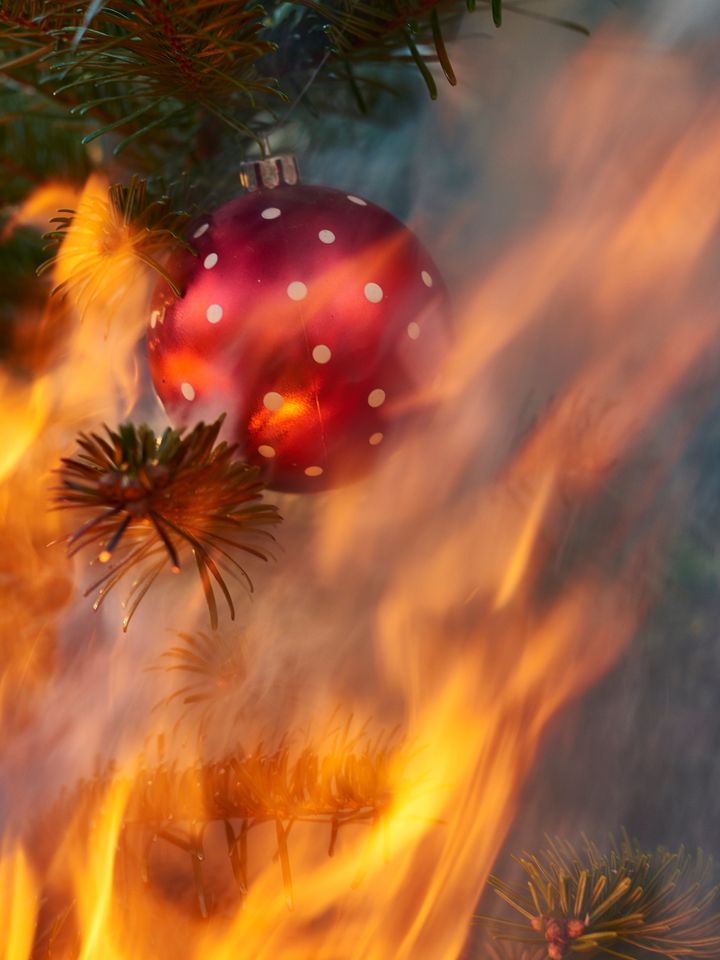 Pas på gran og julelys. Undgå at brand ødelægger din jul. Foto: Colourbox/Erik Rosenlund.