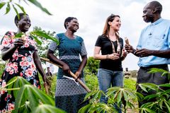 Klimaforandringerne har haft store konsekvenser for mange fattige familier i Uganda. Her er mere end 70 % af befolkningen afhængige af landbrug. På grund af et ændret klima, hvor tørkeperioder bliver længere, og der falder alt for meget regn i regntiden, slår høsten ofte fejl. Her besøger Prinsessen et landbrugsprojekt, hvor Folkekirkens Nødhjælp underviser i bæredygtigt landbrug. Her fik Prinsessen mulighed for at grave en kassava-rod op og bagefter smage på den. Kassava er en udbredt rodfrugt i mange afrikanske lande og har et højt næringsindhold. Foto: Folkekirkens Nødhjælp