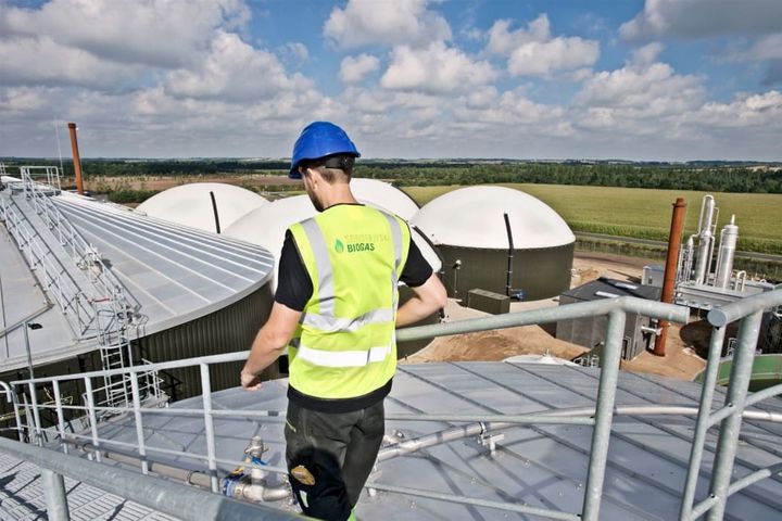 På den tidligere majsmark i Bevtoft ligger i dag Danmark største biogasanlæg, Sønderjysk Biogas.