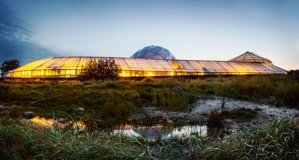 Kom Tæt På Dansk Natur I Aarhus Festuge | Aarhus Universitet Science ...