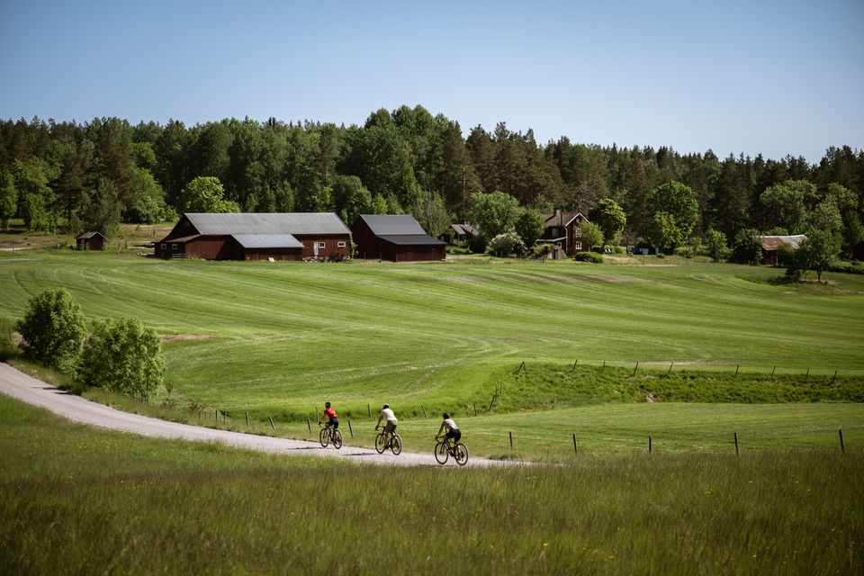 Tre gravelcyklister på stribe, Dalsland