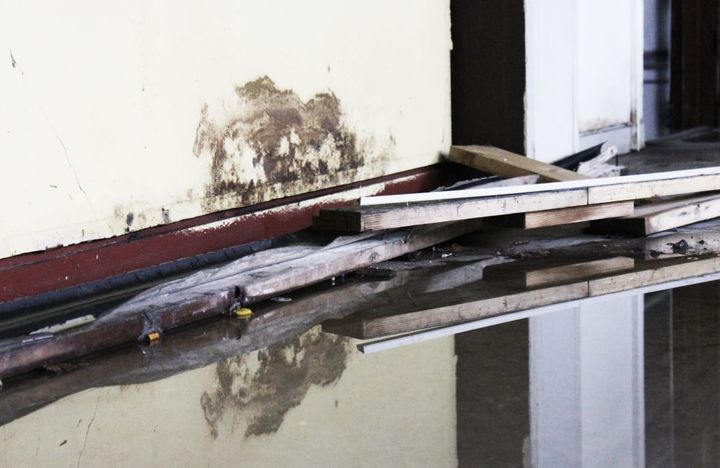 Bakteriefaren lurer efter stormflodens oversvømmelser. Undersøgelse viser klart, at antallet af E. coli bakterier stiger markant efter indtrængen af kloakvand i bygninger og det samme gælder for andre fækale bakterier.