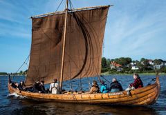 Den 21. september sejler Vikingeskibet Skjoldungen en delegation af unge fra Ungdomsøen til FN-byen i Nordhavn. Foto: Vikingeskibsmuseet
