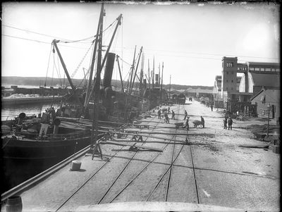 Havnearbejdere ved fragtskibe i Slippen på Aarhus Sydhavn, 1918. Som det ses, var der tale om særdeles hårdt manuelt arbejde, inden
mekaniseringen for alvor gjorde sit indtog. Aarhus Stadsarkiv, fotograf: Aage Fredslund Andersen.