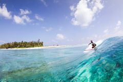 Der er lagt op til en surf oplevelse ud over det sædvanlige, når De Brede Planker tager til søs for at sejle sine gæster rundt til Maldivernes azurblå bølger. Foto: PR.