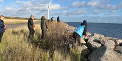 Medarbejdere fra PwC på jagt efter plastik i naturen i København