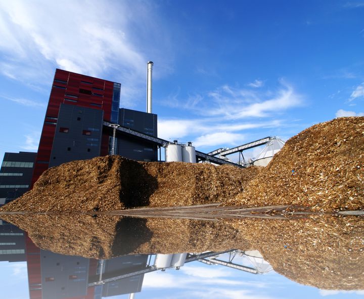 CONCITO mener, at der skal sættes et mål for reduktion af mængden af biomasse vi brænder af.