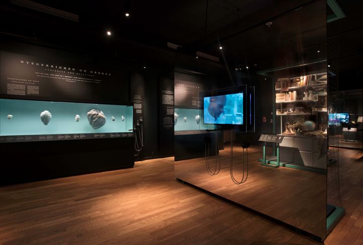Udstillingen "Videnskab er lidenskab" på Steno Museet i Aarhus handler om livet som forsker. Foto: Michael Dupont