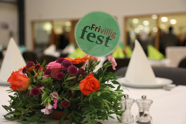 Foto fra sidste års Frivilligfest.
