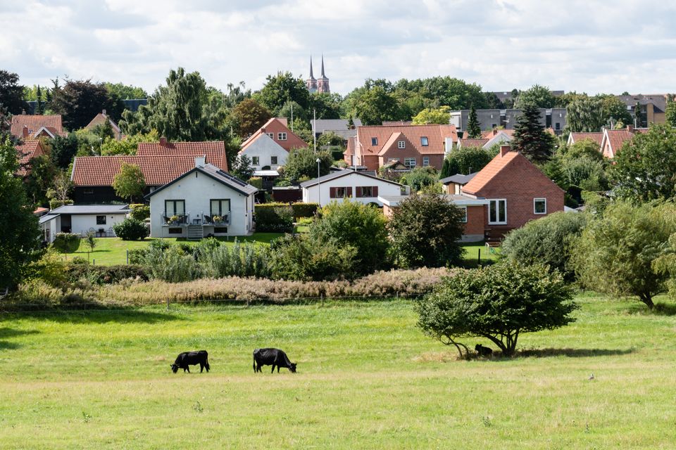 Foto til PM_Foto DavidAdobe Stock.jpeg