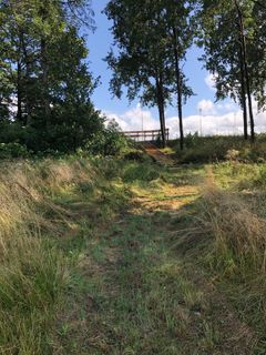 For enden af stien kan man få et smugkig ind på travbanen. Foto: Billund Kommune