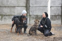 Matti er ikke en farlig hund men elsker at lege