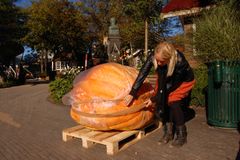 Første græskar deltager ankommet til DM i kæmpegræskar 2011