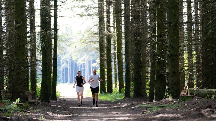 I tæt samarbejde med Hedeselskabet vil Sparekassen Kronjylland omdanne tidligere landbrugsjord ved Give til skov og naturområder. Med tiden bliver der også mulighed for gode naturoplevelser.