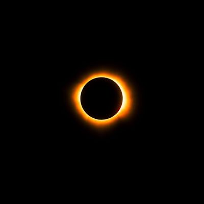 Description of the image