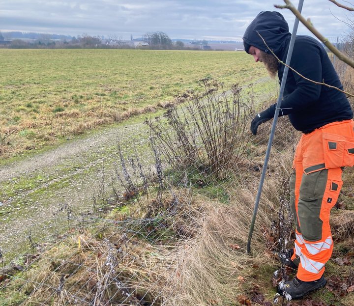 Nedtagning af vildthegn er en af de mange opgaver, som borgere tilknyttet nytteindsatsen kan løse.