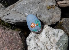 Clownfisk malet på en sten, placeret blandt større sten.