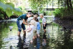 Børn fra Skovbørnehaven Skovtrolden i fuld gang med at undersøge dyr fra åen i Kohaveskoven i Nykøbing Falster. Leg er en vigtig del i det nye nationale udviklingsprogram, som Guldborgsund Kommune er udvalgt til at være en del af. Arkivfoto: Guldborgsund Kommune
