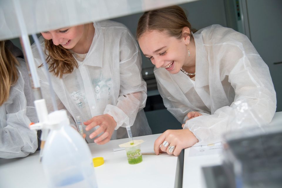 Til Science Science Day sætter fokus på diversitet i uddannelse og job ...