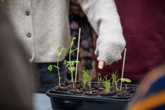 Naturfagsmaraton 2025.