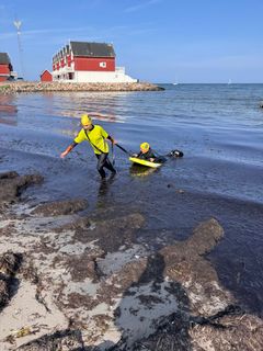 5. klasse elever fra Humble skole på Bagenkop strand i forbindelse med Water Smart Event arrangeret af Codan Fonden og LifeBoard