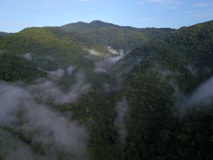 VELUX og WWF vil som en del af de nye skovprojekter bl.a. arbejde på at forhindre afskovning i Tay Giang-distriktet i det bjergrige, centrale Vietnam, der er en del af den annamitiske bjergkæde.
