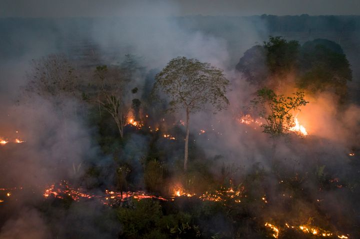 Amazonas brænder.