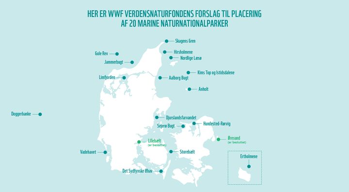 Der bør etableres 20 marine naturnationalparker i Danmark.