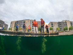 © Jonas Lysholdt Ejderskov/WWF Verdensnaturfonden.