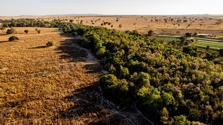 © Jacqueline Lisboa / WWF-Brazil